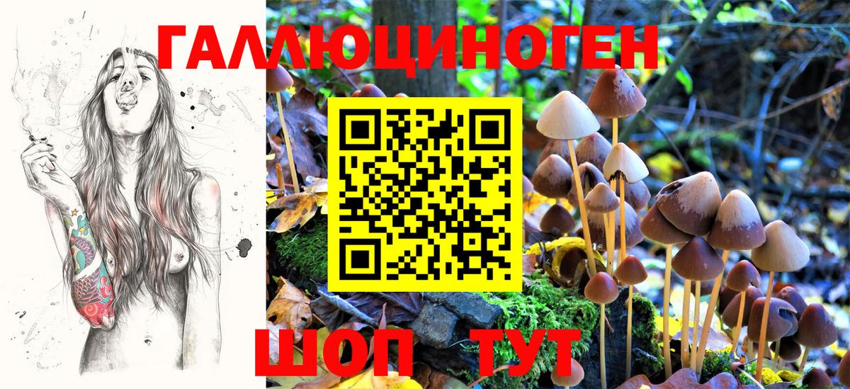 Галлюциногенные грибы Psilocybe  Галлюциногенные грибы Psilocybine cubensis  Вход с VPN  Ликино-Дулёво 