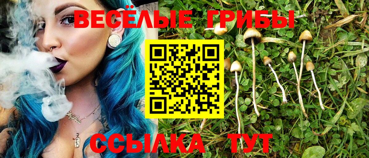 Псилоцибиновые грибы Psilocybine cubensis Ликино-Дулёво
